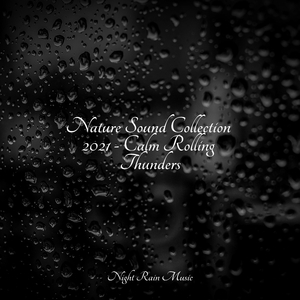 Gutter Rains
