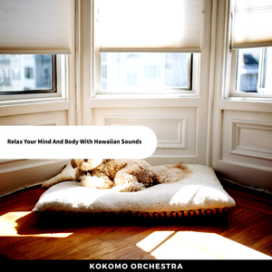 Donuts & Country Roads