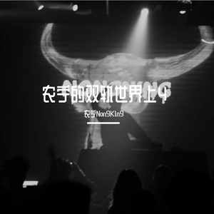 农宁的双轨世界4