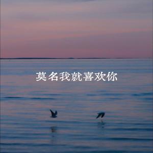 莫名我就喜欢你