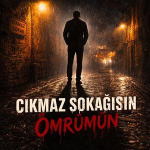 ÇIKMAZ SOKAĞISIN ÖMRÜMÜN