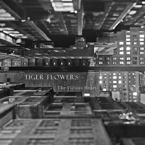 Chapter 3: Court of Vultures