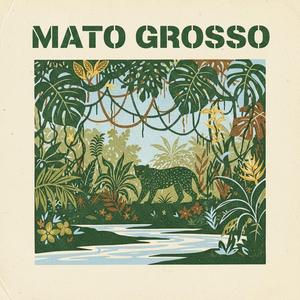 MATO GROSSO