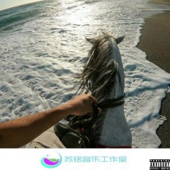 硬核节奏 (DJ版)