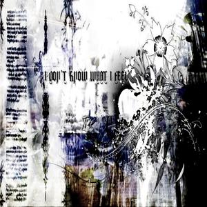 I don't know what i feel (feat. kittylvr)