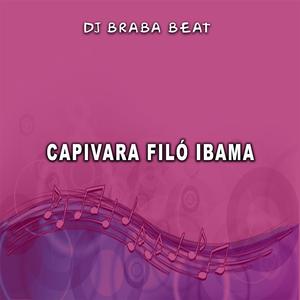 Capivara Filó Ibama