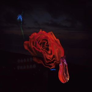 即凋零的泪（lose my luv）