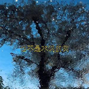 他不是木讷的树