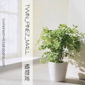 ボストンタマシダ [boston fern]