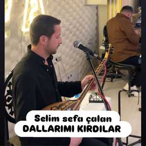 Dallarımı Kırdılar