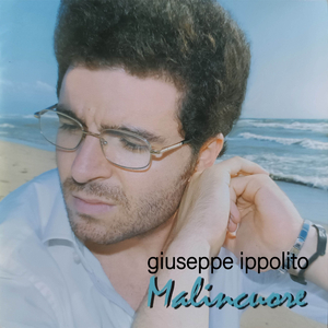 Il volo del gabbiano