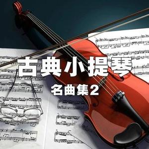 贝多芬 春天奏鸣曲 第一乐章 (小提琴)