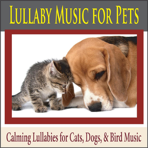 Go to Sleep (Lullaby for Pets)