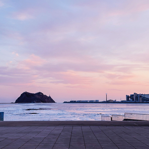 如果能与你并肩