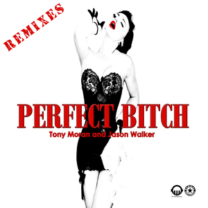 Perfect ***** (Micky Friedmann Remix)