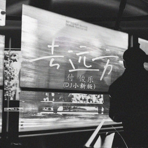 去远方 (DJ小新版)