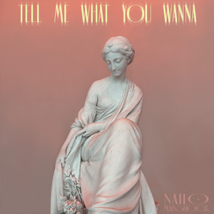 Tell Me What You Wanna