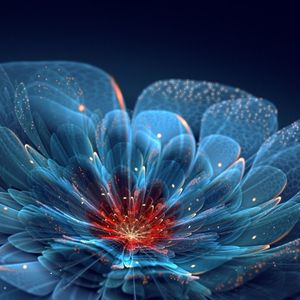 花开盛夏的我们