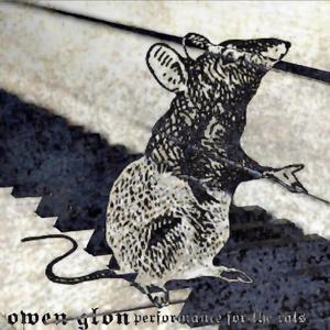 Performance for the Rats