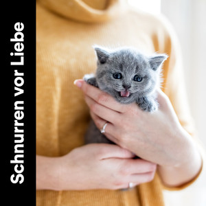 Ruhebereich der Katze