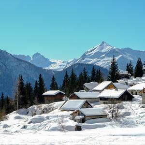 Sunny and Snowy