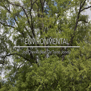 Environmental (feat. De'Toine Jones)