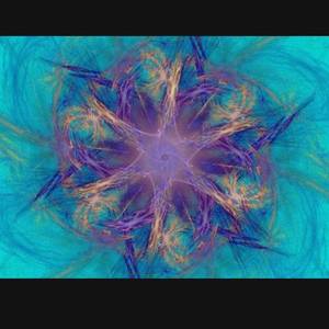 校园暴力（walls）