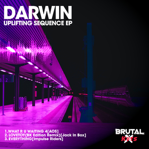 What R U Waiting 4 (Extended Mix)