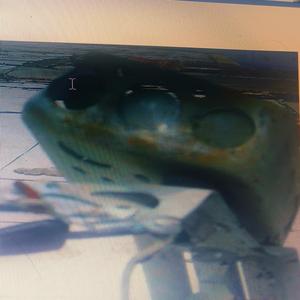 trotventurs1 charts within