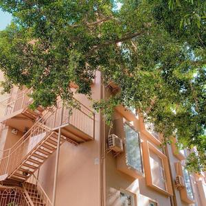 98a714bcbd66f89261658b05913045ce