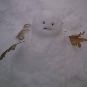 归去来兮（降调版）