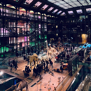 溶洞发现的诗歌