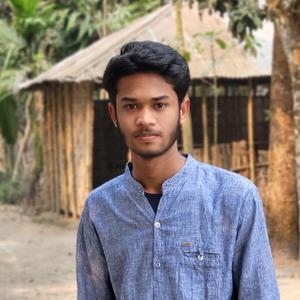 Poth Hara Pothik (Chill Mix)