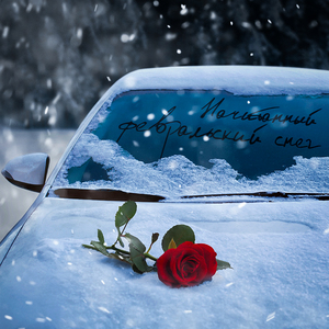 Февральский снег