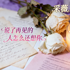 说了再见的人怎么还想你(伴奏)