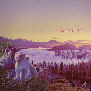 Past Echoes (Detroit Mix)