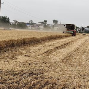 把快乐种在心里