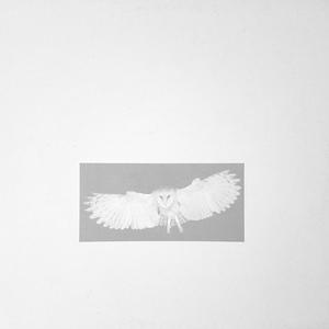 pigstar (the white tracker)