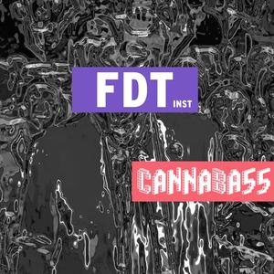 FDT