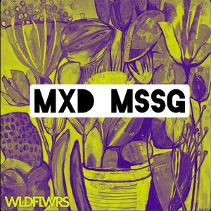 Mxd Mssg (Radio Edit)