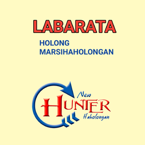 Holong Marsihaholongan