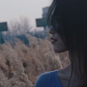 同一场雾