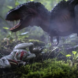 Survival
