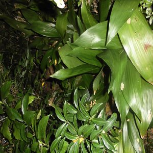 時計のはりの音