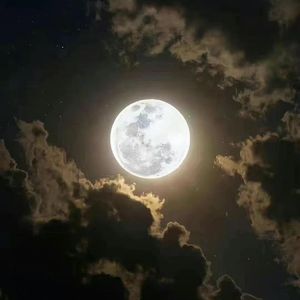 向天再借五百年