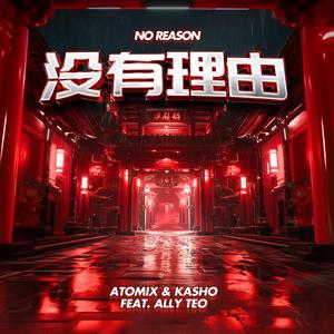 No Reason 没有理由 (feat. Ally Teo)