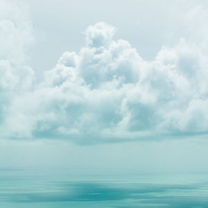 Heavy Droplets & Birds