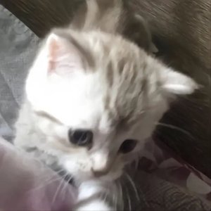 89DX-葬(纯音0.8x)（予温 remix）