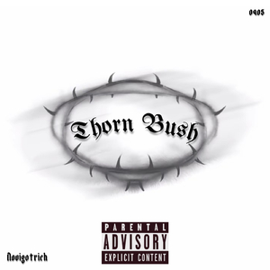 荆棘林（prod.tired x pvki）