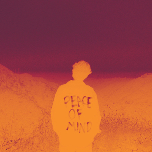 Peace Of Mind (feat. Buppy.)